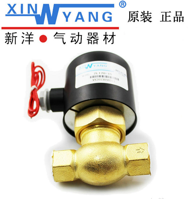 XINWYANG 2L蒸汽电磁阀