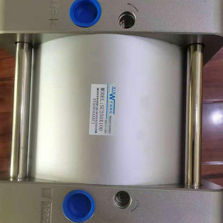新洋气缸SC250-100 (1)
