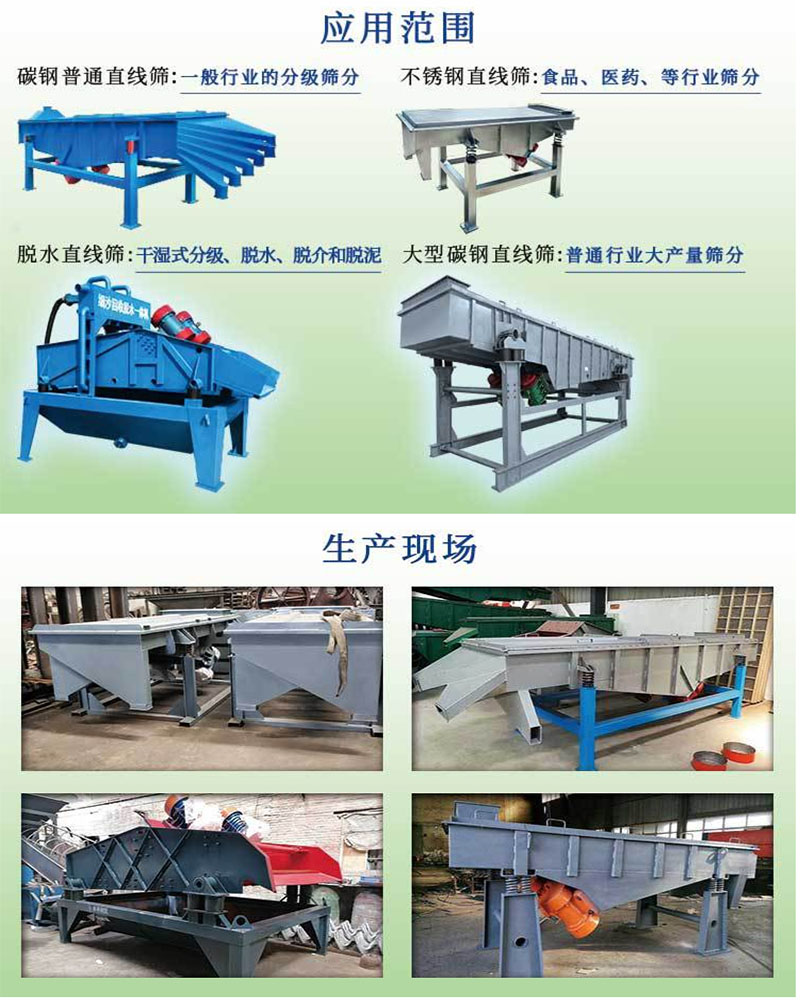 成品大蒜颗粒大小筛分 直线振动筛